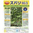 画像2: 送料無料　[キュウリ]　ズバリ163　350粒　(株)(株)ときわ研究場 (2)