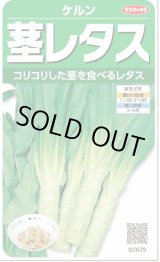 画像: 送料無料　[レタス]　ケルン　(およそ350粒)(株)サカタのタネ　実咲350（003029）