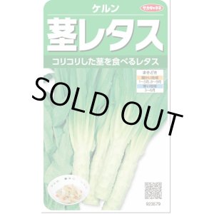 画像: 送料無料　[レタス]　ケルン　(およそ350粒)(株)サカタのタネ　実咲350（003029）