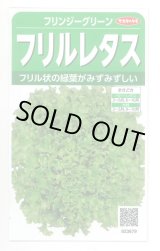 画像: 送料無料　[レタス]　フリンジーグリーン(フリルレタス)およそ1200粒　(株)サカタのタネ　実咲350（003036）