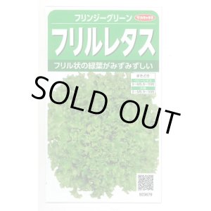 画像: 送料無料　[レタス]　フリンジーグリーン(フリルレタス)およそ1200粒　(株)サカタのタネ　実咲350（003036）