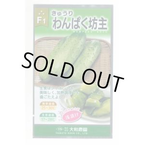 野菜種 キュウリ の通販 グリーンロフトネモト通信販売サイト