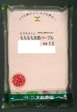 画像: 送料無料　[とうもろこし]　もちもち太郎パープル　1L　大和農園