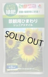 画像: 送料無料　[緑肥]　緑肥用ひまわり　ジュニアスマイル　60ml　タキイ種苗