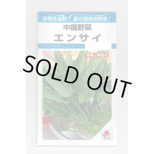 画像: 送料無料　中国野菜　エンサイ　13ml　タキイ種苗　MF