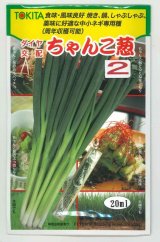 画像: 送料無料　[ねぎ]　ちゃんこ葱2　20ml　トキタ種苗(株)