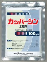 画像: 農薬　殺菌剤　カッパーシン　水和剤　100g