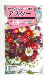 画像: 送料無料　花の種　アスター　ネネ　混合　小袋　タキイ種苗(株)(NL300)