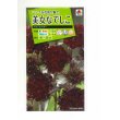 画像1: 送料無料　花の種　美女なでしこ　ブラックアダー　小袋　タキイ種苗(株)(ＮL200) (1)