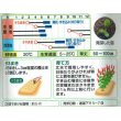 画像2: 送料無料　[緑肥]　緑肥用クリムソンクローバー　ディクシー　60ml　タキイ種苗 (2)