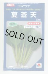 画像: 送料無料　[小松菜]　夏蒼天　20ml　タキイ種苗(株)