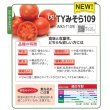 画像3: 送料無料　[トマト]　大玉トマト　TYみそら109　100粒　ヴィルモランみかど (3)