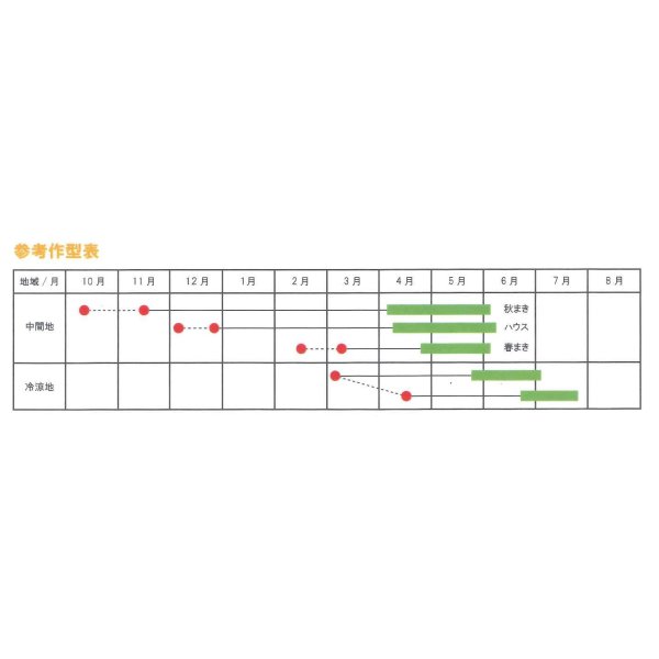 画像3: 送料無料　[えんどう]　パープルスナップ　藤姫　20ml　松永種苗(株) (3)