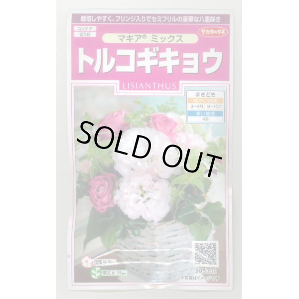 画像1: 送料無料　花の種　トルコギキョウ　マキアミックス　30粒　(株)サカタのタネ　実咲350（028147） (1)