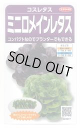 画像: 送料無料　[レタス]　コスレタス　ミニロメインレタス　40粒　(株)サカタのタネ　実咲450（003954）