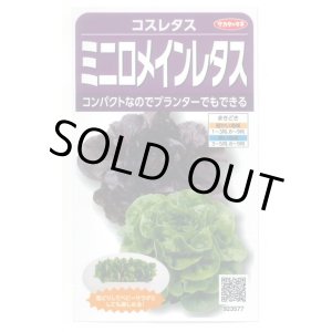 画像: 送料無料　[レタス]　コスレタス　ミニロメインレタス　40粒　(株)サカタのタネ　実咲450（003954）