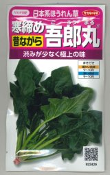 画像: 送料無料　[ほうれんそう]　寒締め吾郎丸　25ml　(株)サカタのタネ　実咲250（003956）