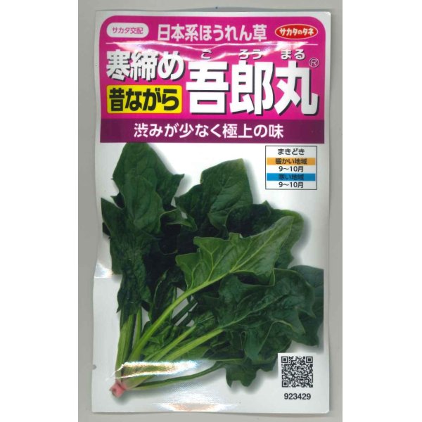 画像1: 送料無料　[ほうれんそう]　寒締め吾郎丸　25ml　(株)サカタのタネ　実咲250（003956） (1)