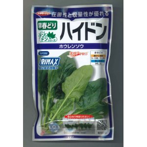 画像: 送料無料　[ほうれんそう]　ハイドン　100ml　(約4000粒)(株)サカタのタネ　実咲PRO