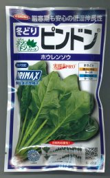 画像: 送料無料　[ほうれんそう]　ピンドン　100ml　(約4000粒)(株)サカタのタネ　実咲PRO