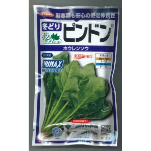 画像: 送料無料　[ほうれんそう]　ピンドン　100ml　(約4000粒)(株)サカタのタネ　実咲PRO