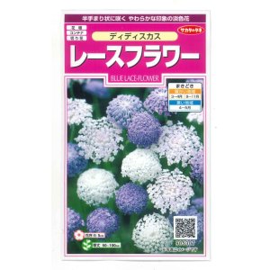 画像: 送料無料　花の種　ディディスカス　レースフラワー　1.2ml　(株)サカタのタネ　実咲350（026120）