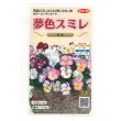 画像1: 送料無料　花の種　パンジー　夢色スミレ　恋桜　約50粒　(株)サカタのタネ　実咲500（028146） (1)