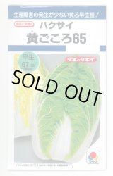 画像: 送料無料　[白菜]　黄ごころ65　1ml　タキイ種苗(株)　DF