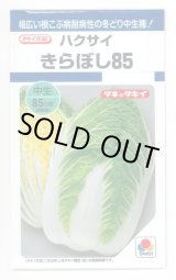 画像: 送料無料　[白菜]　きらぼし85　0.9ml　タキイ種苗(株)　DF