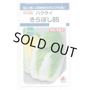 画像: 送料無料　[白菜]　きらぼし85　0.9ml　タキイ種苗(株)　DF