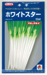 画像: 送料無料　[ねぎ]　ホワイトスター　20ml　タキイ種苗(株)