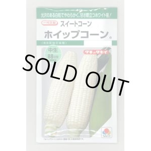 画像: 送料無料　[とうもろこし]　ホイップコーン　40粒　タキイ種苗　GF