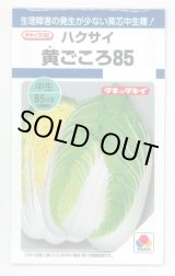 画像: 送料無料　[白菜]　黄ごころ85　1ml　タキイ種苗(株)　DF