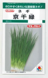 画像: 送料無料　[ねぎ]　京千緑　15ml　タキイ種苗　GF