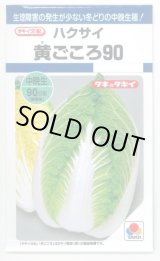 画像: 送料無料　[白菜]　黄ごころ90　1ml　タキイ種苗(株)　DF