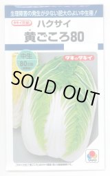 画像: 送料無料　[白菜]　黄ごころ80　1ml　タキイ種苗(株)　DF