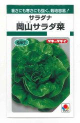 画像: 送料無料　[葉物]　サラダナ　岡山サラダ菜　1.4ml　タキイ種苗(株)　GF