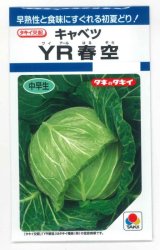 画像: 送料無料　[キャベツ]　YR春空　1.2ml　(およそ190粒)貴種(コートしてません)　タキイ種苗(株)　DF