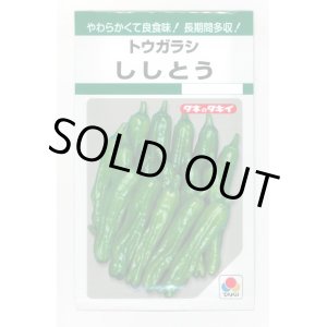 画像: 送料無料　[ししとう]　ししとう　135粒　タキイ種苗　GF