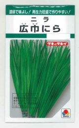 画像: 送料無料　[葉物]　にら　広巾にら　13ml　タキイ種苗　GF