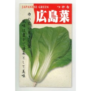 画像: 送料無料　[葉物]　広島菜　7ml　(およそ1500粒)　丸種(株)