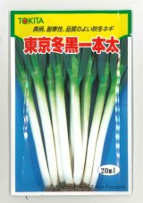 画像: 送料無料　[ねぎ]　東京冬黒一本太　20ml　トキタ種苗(株)