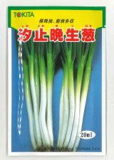 画像: 送料無料　[ねぎ]　汐止晩生葱　20ml　トキタ種苗(株)