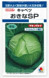 画像: 送料無料　[キャベツ]　おきなSP　180粒　タキイ種苗(株)　DF