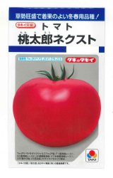 画像: 送料無料　[トマト/桃太郎系]　桃太郎ネクスト　16粒　タキイ種苗(株)　DF