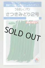 画像: 送料無料　[いんげん]　さつきみどり2号　MF(およそ73粒)　タキイ種苗