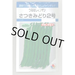 画像: 送料無料　[いんげん]　さつきみどり2号　MF(およそ73粒)　タキイ種苗