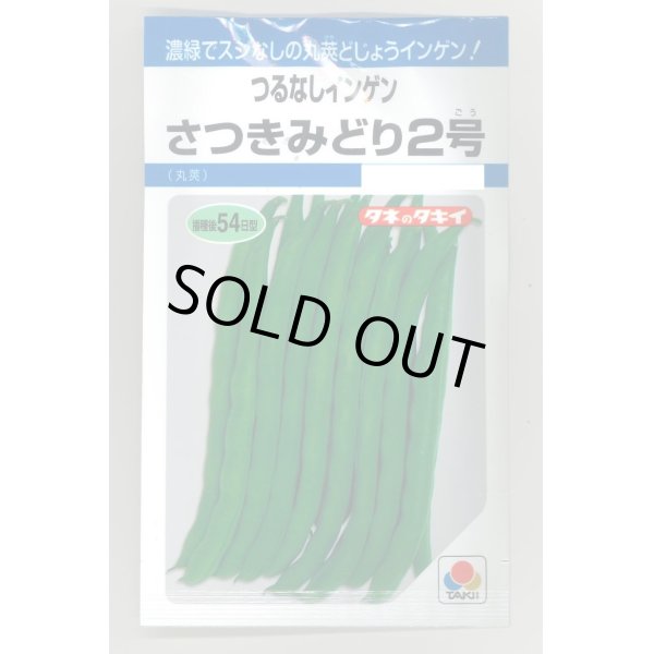 画像1: 送料無料　[いんげん]　さつきみどり2号　MF(およそ73粒)　タキイ種苗 (1)