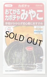 画像: 送料無料　[かぼちゃ]　みやこ　およそ7粒　(株)サカタのタネ　実咲450（002873）