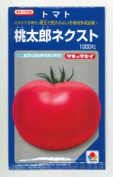 画像: 送料無料　[トマト/桃太郎系]　桃太郎ネクスト　1000粒　タキイ種苗(株)